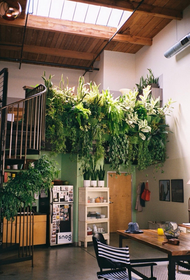 32 indoor vertical garden ideas