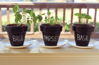 10 awesome herb planter ideas