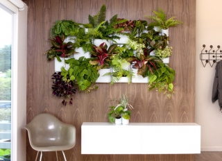 32 indoor vertical garden ideas