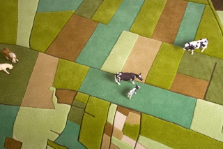 Landcarpet â€“ Satellite photography turned into carpet
