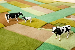 Landcarpet â€“ Satellite photography turned into carpet